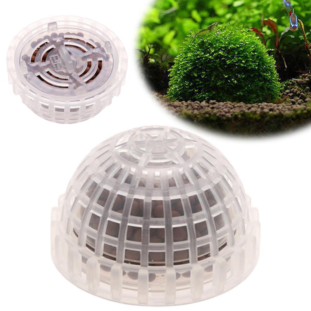 Aquarium Plant Echinodorus - 1pc Aquatic Pet Supplies Decorations Aquarium