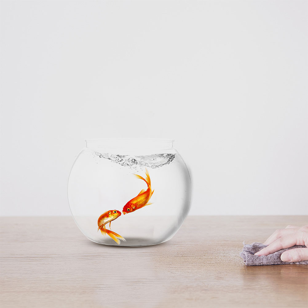 1Set Delicate Clear Fish Bowl  - Planted Aquarium For Goldfish recension och pris