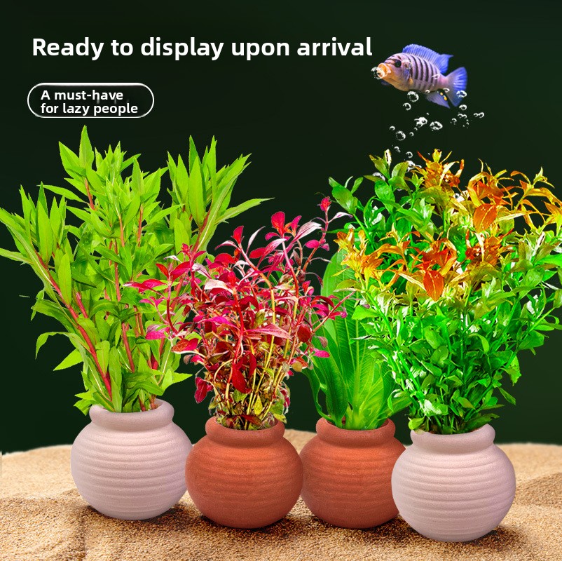 cmomo Aquarium Plant Anchors - - Planted Aquarium Anubias recension och pris