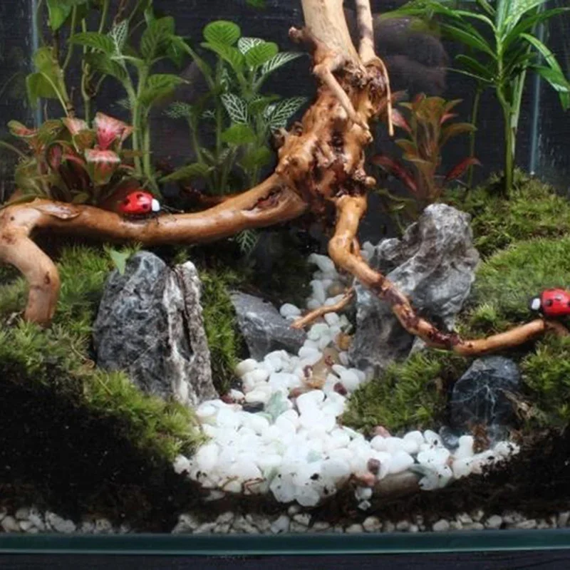 Natural Tree Trunk Driftwood A - Aquarium Planted Wood recension och pris