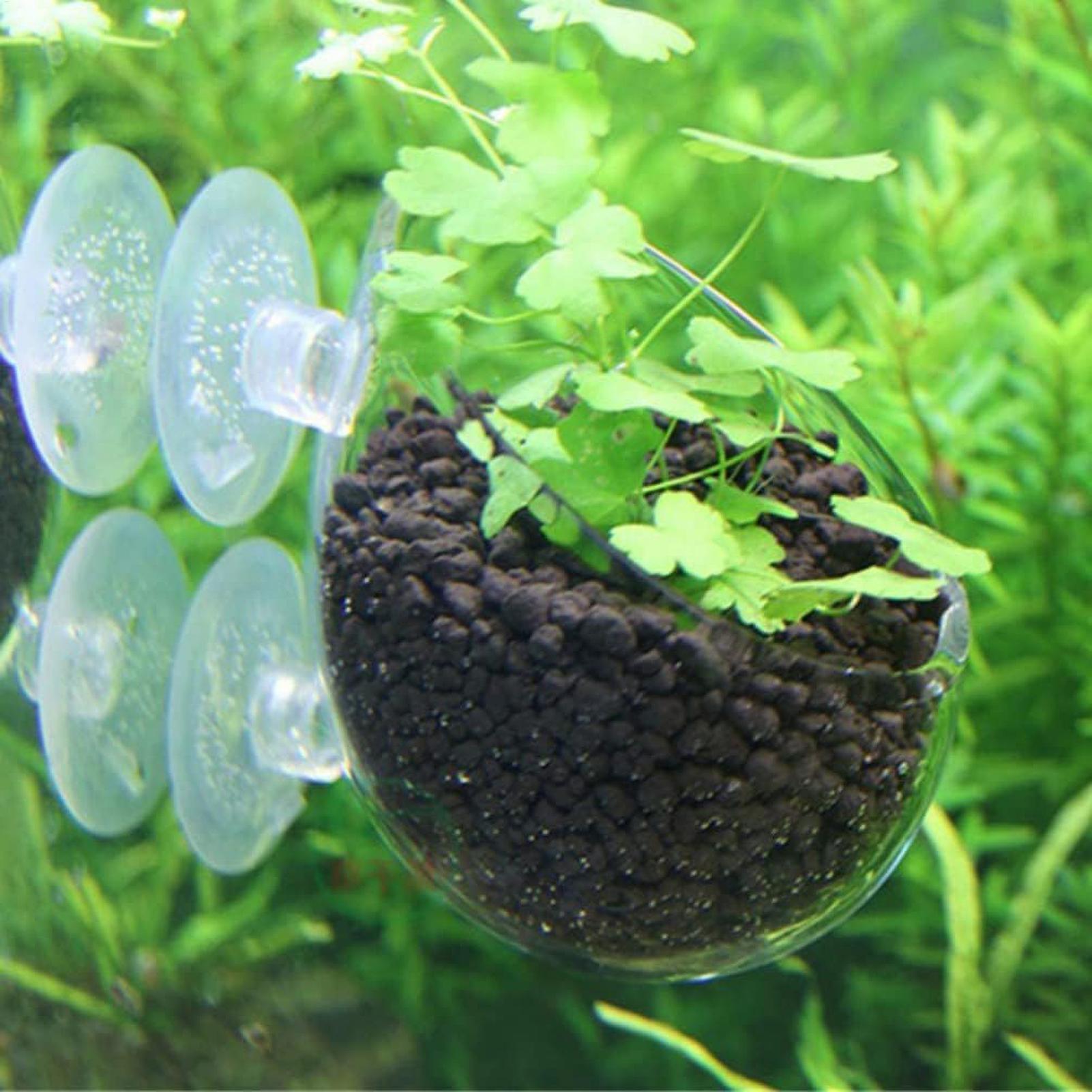 Aquarium Plant Holder Glass Aq - Aquarium Plant Growing recension och pris