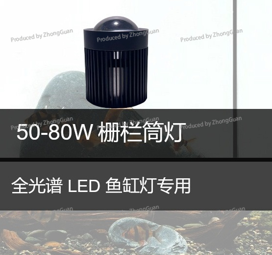 Led Downlight Moss Plant Grow  - Aquarium Planted Wood recension och pris