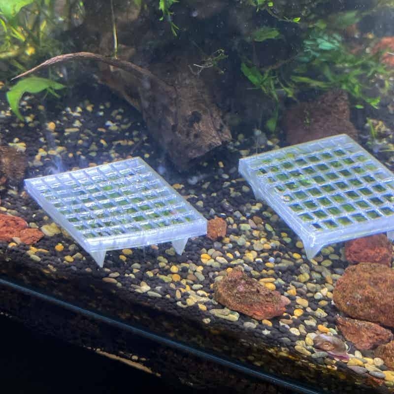 Aquarium Moss Cage Holder Fish - Aquarium Plant Echinodorus recension och pris