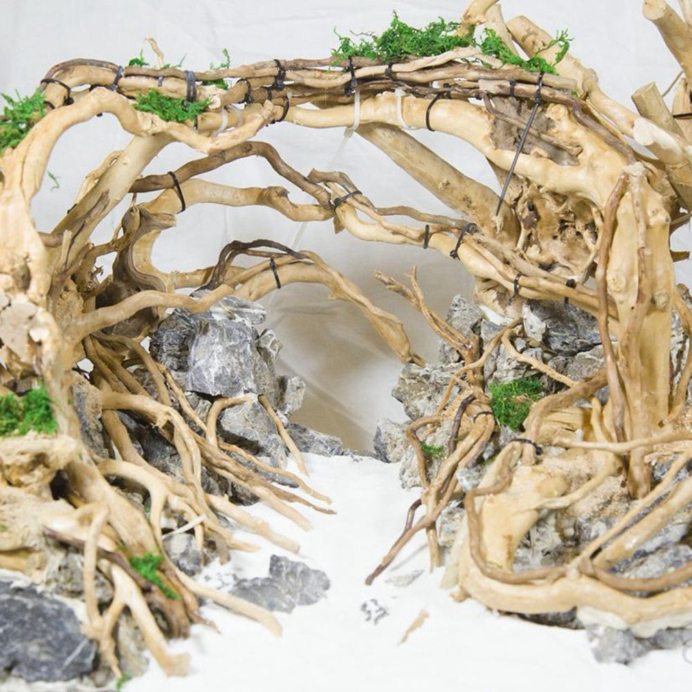 1 Pcs Wood Reptile Fish Tank O - Aquarium Planted Wood recension och pris