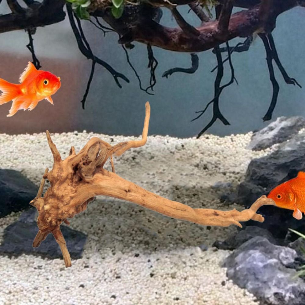 Natural Tree Trunk Aquarium De - Aquarium Planted Wood recension och pris