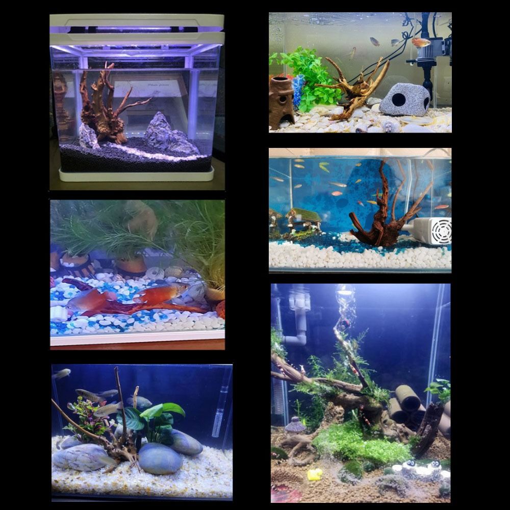Natural Tree Trunk Aquarium De - Aquarium Planted Wood recension och pris