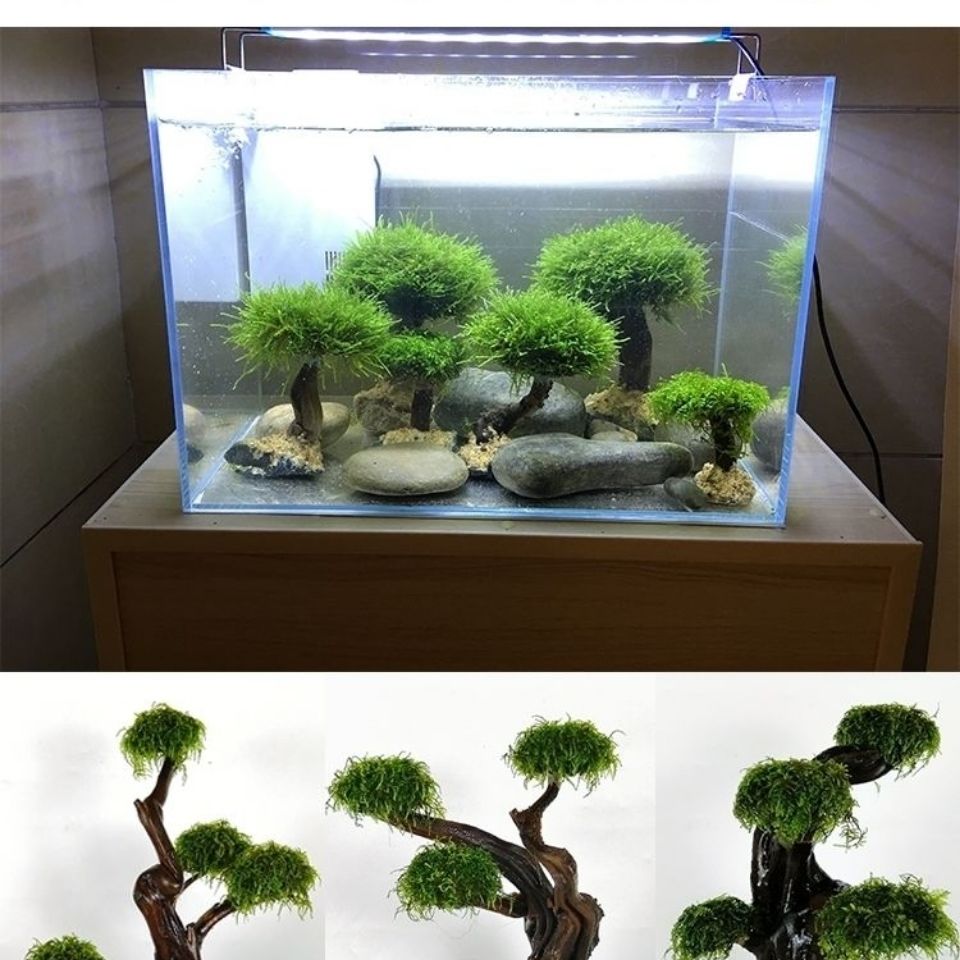 Fish tank greening wood frame  - Aquarium Planted Wood recension och pris