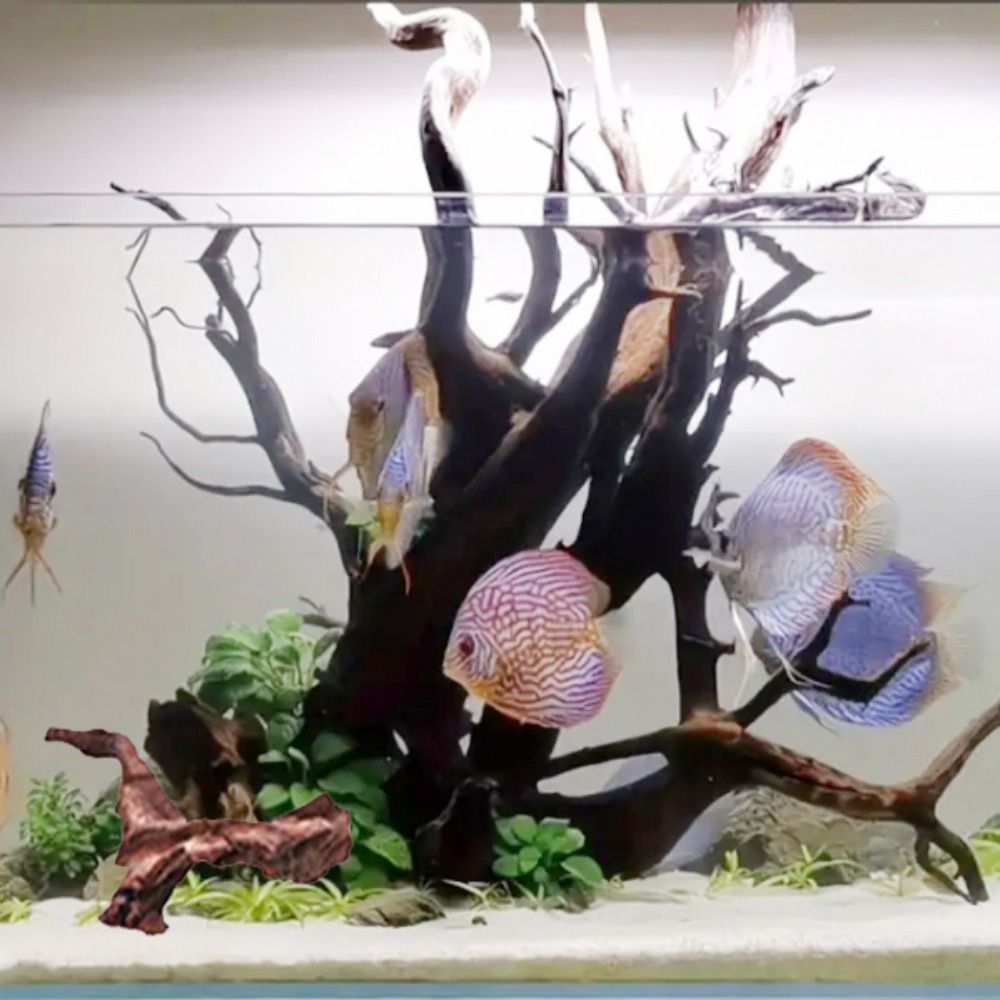 Creative Irregular Shape Coral - Aquarium Planted Wood recension och pris