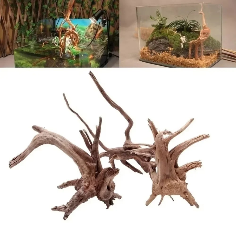 （15-20cm） Natural Driftwood Aq - Aquarium Planted Wood recension och pris