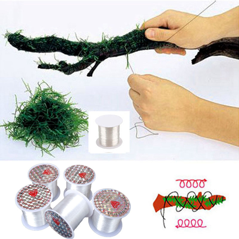 120M DIY Moss Line Binding Lin - Aquarium Plant Echinodorus recension och pris