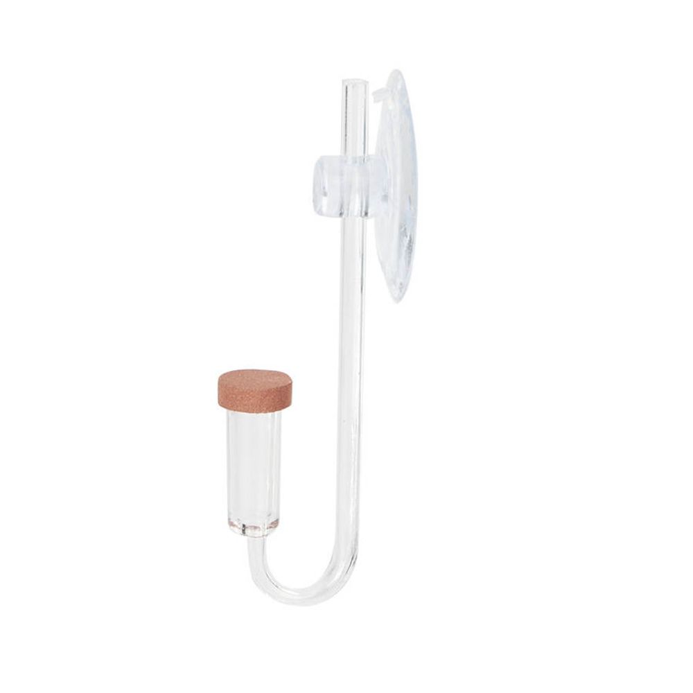 Acrylic Mini Fish Tank Live Pl - Aquarium Plant Growing recension och pris