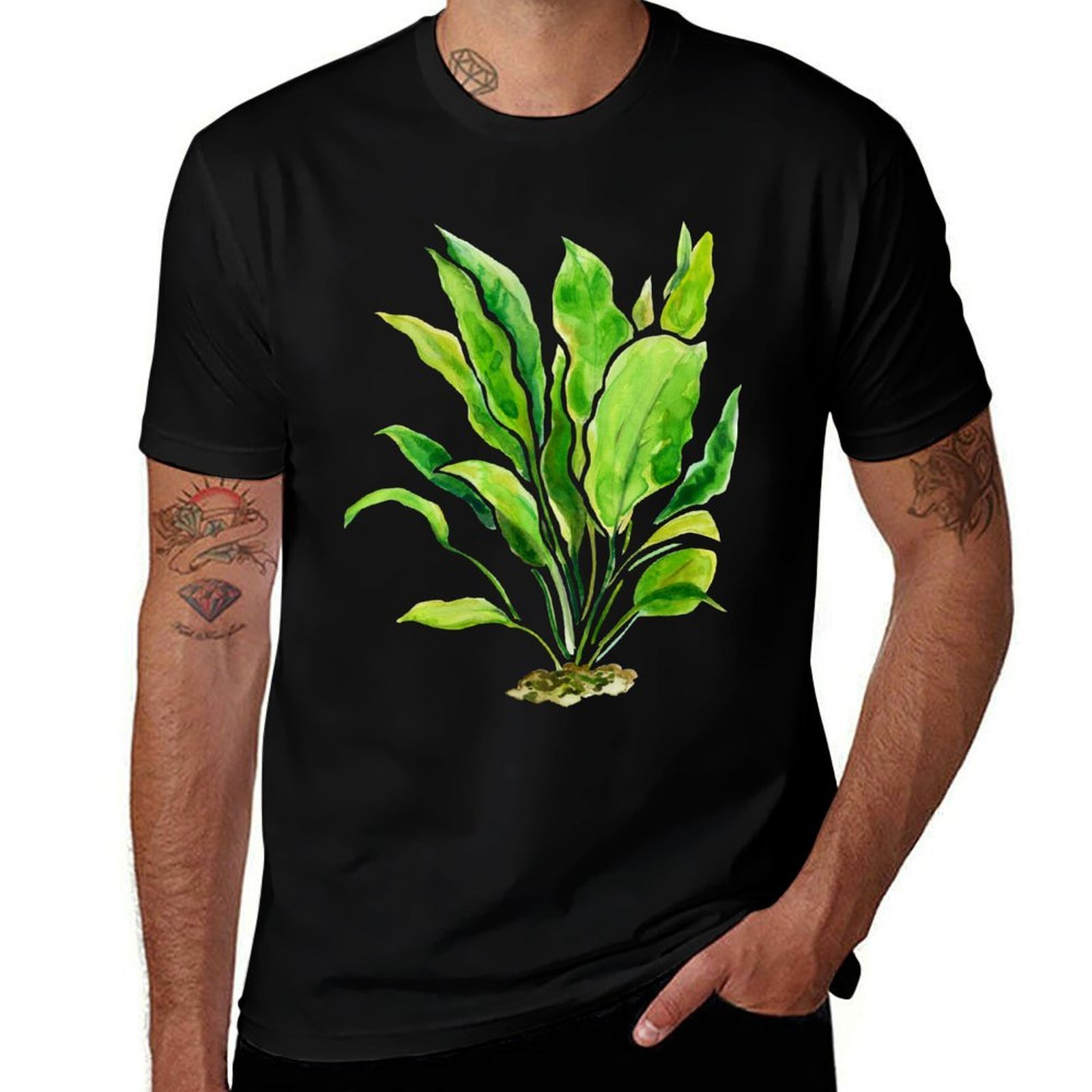 Aquarium Plants Series Amazon  - Planted Aquarium Basics recension och pris